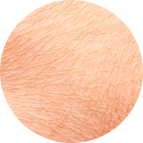 Cera sucha i odwodniona